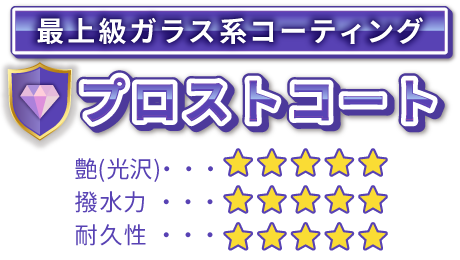 プロストコート【最上級ガラス系コーティング】